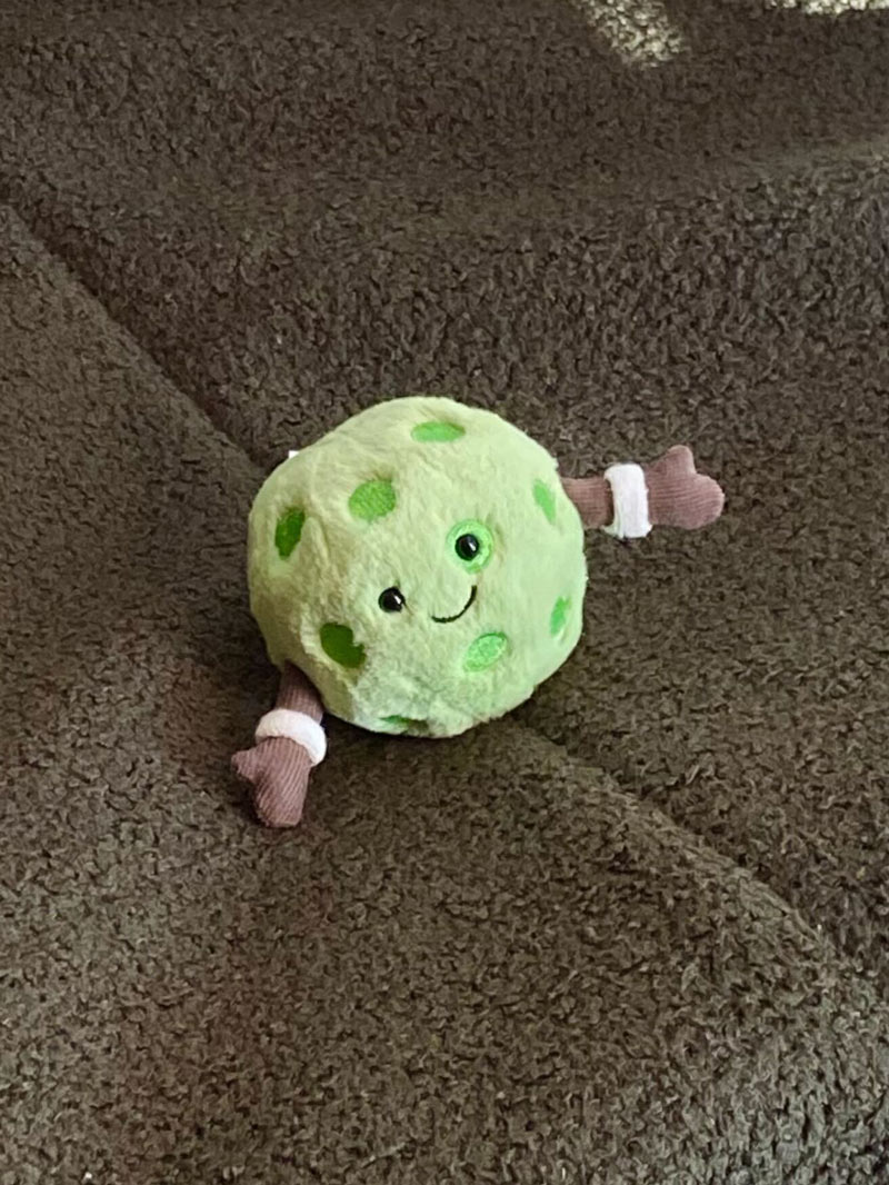 A plush pickleball owned by Luke